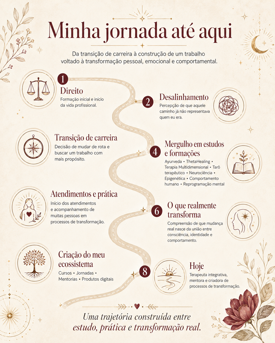 Representação visual da trajetória profissional de Luiza Nadin
